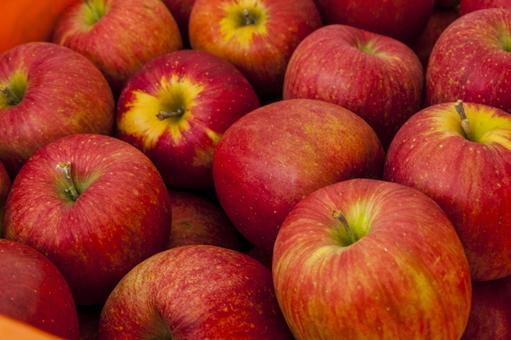 宮田村のリンゴ3 宮田村のリンゴ3 リンゴ,品種,食材の写真素材