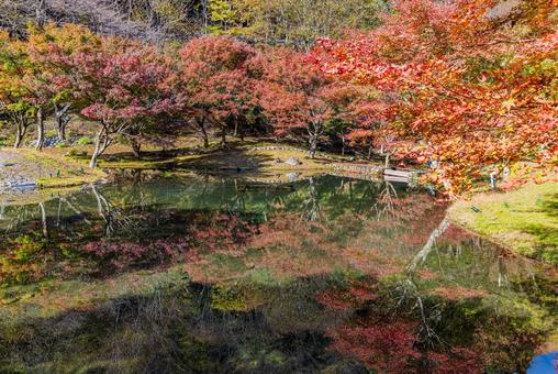 静岡県 草履石公園・秋景色 静岡県 草履石公園・秋景色の写真