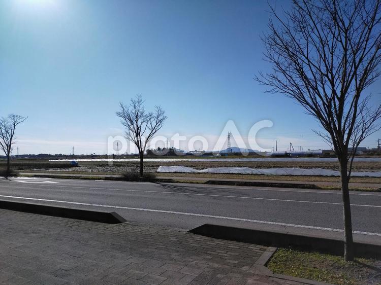 田舎の風景 風景,自然,冬の写真素材
