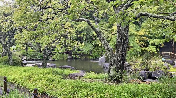 坂東33観音 04番 長谷寺 妙智池 坂東33観音 04番 長谷寺 妙智池の写真