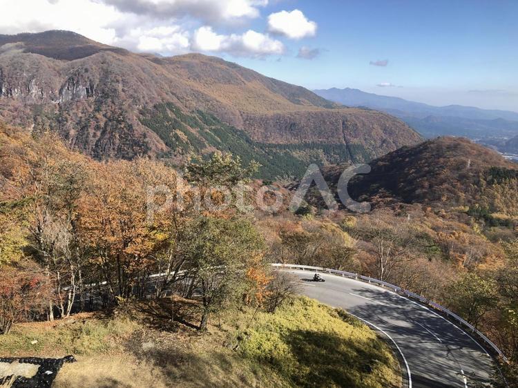 いろは坂 いろは坂,自然,緑の写真素材