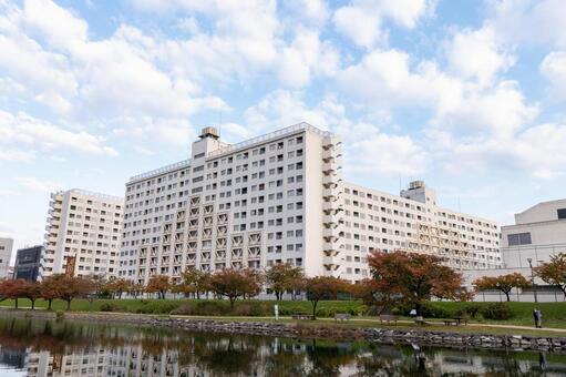 旧中川　河川敷　2025年 旧中川,河川敷,東京の写真素材