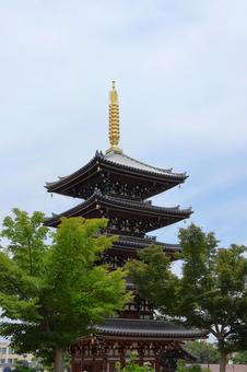 6月中旬の法然寺の五重塔とアジサイの花 6月中旬の法然寺の五重塔とアジサイの花の写真
