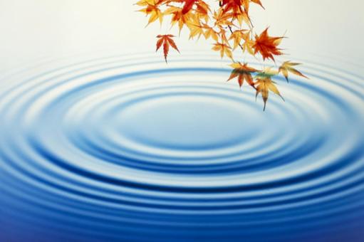紅葉と波紋、波紋1 紅葉と波紋、波紋1の写真