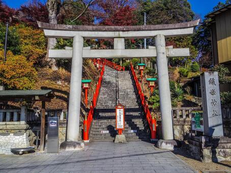【栃木県】足利市・足利織姫神社 足利織姫神社,足利市,寺社仏閣の写真素材