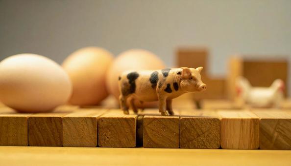 畜産のイメージ 畜産 養豚 鶏卵 鶏の写真