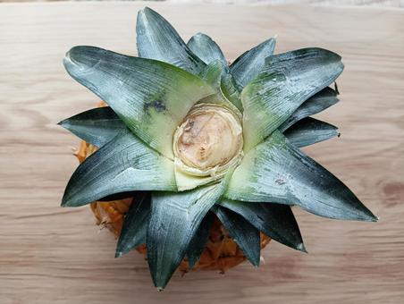 上から見たパイナップル 上から見たパイナップル パイナップル,果物,pineappleの写真素材