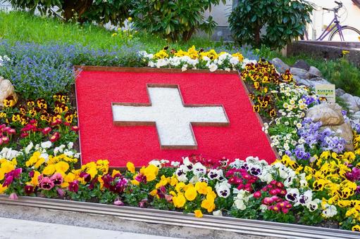 花でできたスイスの国旗 花でできたスイスの国旗の写真