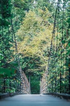 付知峡の橋 付知峡の橋の写真