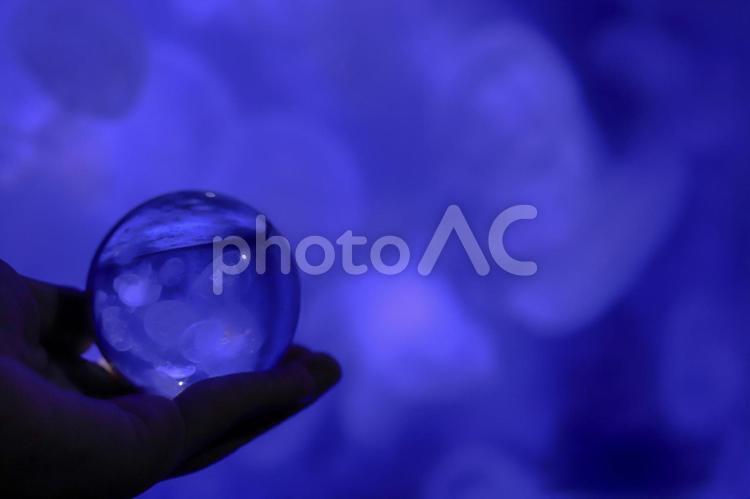 水晶玉に写る水族館のクラゲ クラゲ,水族館,水晶玉の写真素材