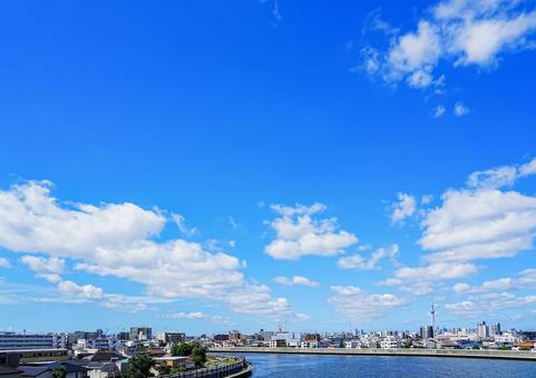 スカイツリーの有る風景 スカイツリーの有る風景の写真