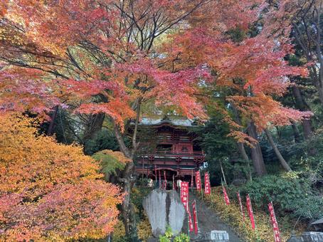 水澤観世音 水澤観世音 水澤観世音,水澤寺,紅葉の写真素材