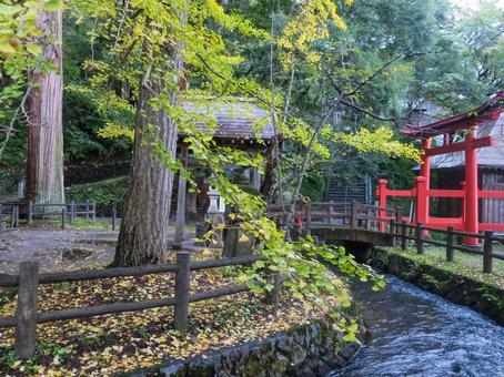 飯盛山_厳島神社 飯盛山,厳島神社,鳥居の写真素材
