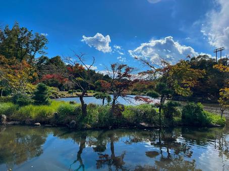 紅葉し始めた横浜こども自然公園 公園,横浜,こども自然公園の写真素材