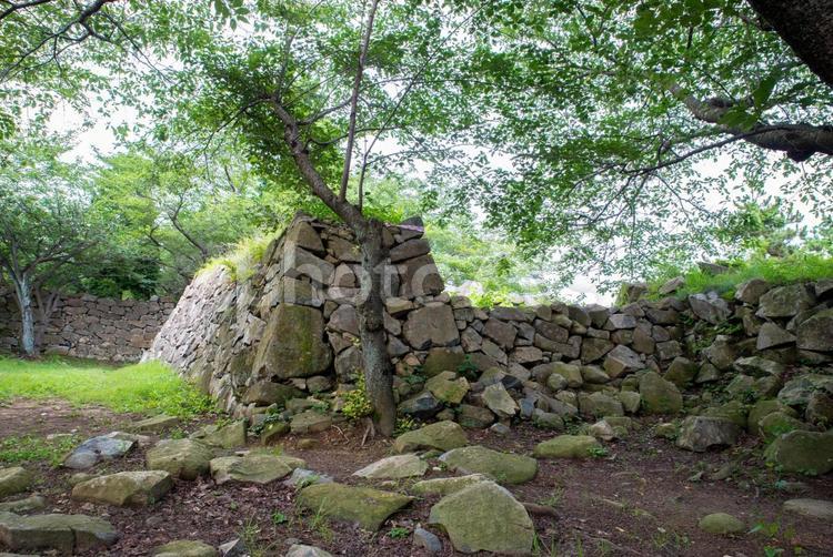 韓国・西生浦倭城の石垣 西生浦倭城,倭城,釜山の写真素材