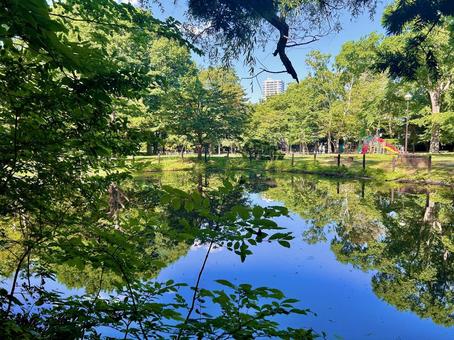 池に写った緑 池に写った緑の写真