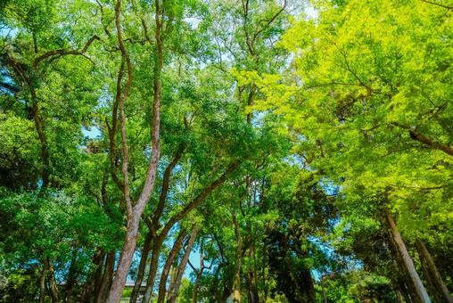 【奈良】奈良のお寺巡り 2025 【奈良】奈良のお寺巡り 2025の写真