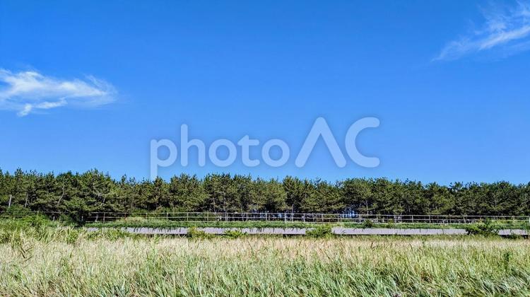 青空と森林 青空,森林,空の写真素材