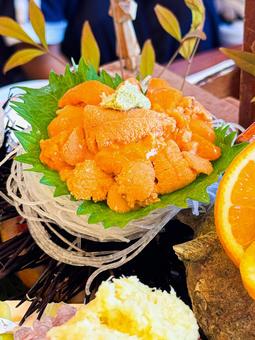 美味しい海の幸のウニ 美味しい海の幸のウニの写真