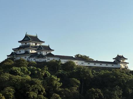 和歌山城 晴天 秋3 和歌山城 晴天 秋3 和歌山城,和歌山市,緑の写真素材