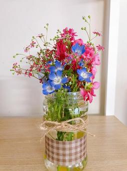 cut flowers, JPG cut flowers, JPG