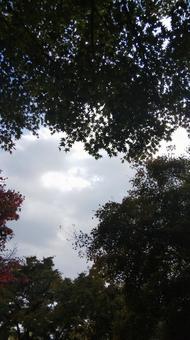 秋空 秋空の写真