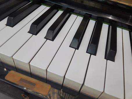 習い事で人気のピアノ 習い事で人気のピアノ ピアノ,習い事,鍵盤の写真素材
