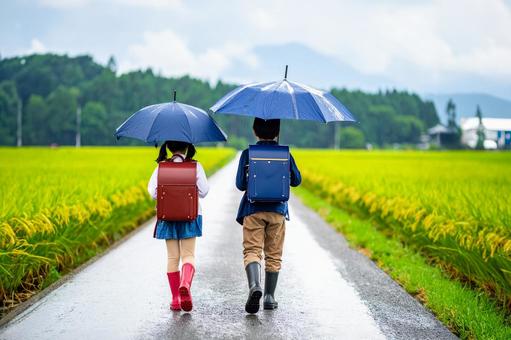 梅雨空の登下校 梅雨空の登下校の写真