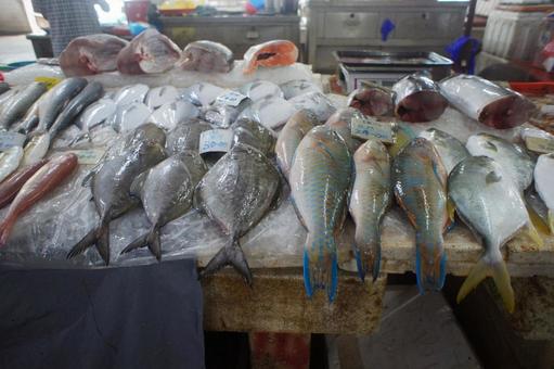 Photo, market, fish market, fish, 