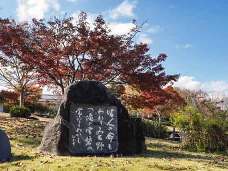 紅葉に包まれる万葉歌碑と秋の万葉文化館 万葉文化館,万葉歌碑,歌碑の写真素材