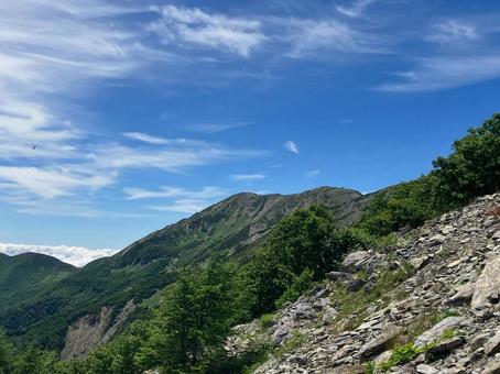 夏の悪沢岳へ登山11 夏の悪沢岳へ登山11の写真