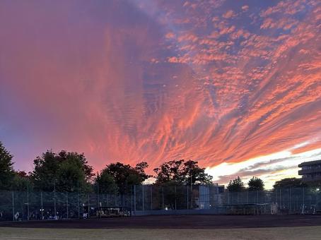 グラウンドから見た夕焼け 夕焼け,夕方,野球の写真素材