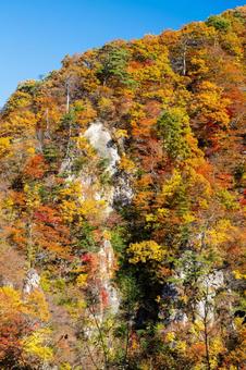 鳴子峡の秋-Vol4.⑷ 渓谷,峡谷,鳴子峡の写真素材