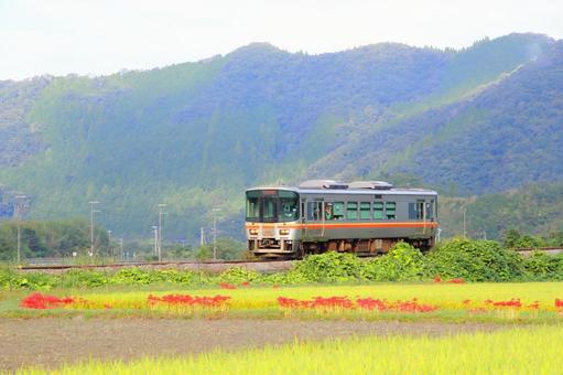 秋色のローカル線の写真