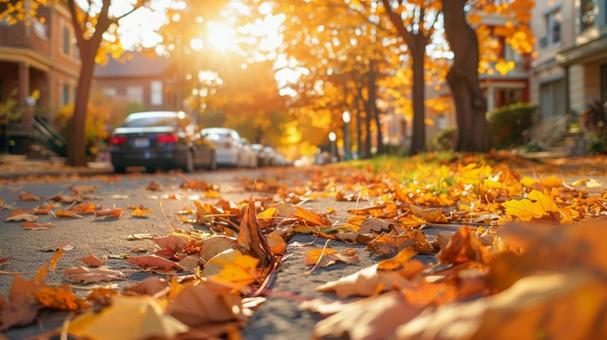 秋の紅葉　街路樹の写真
