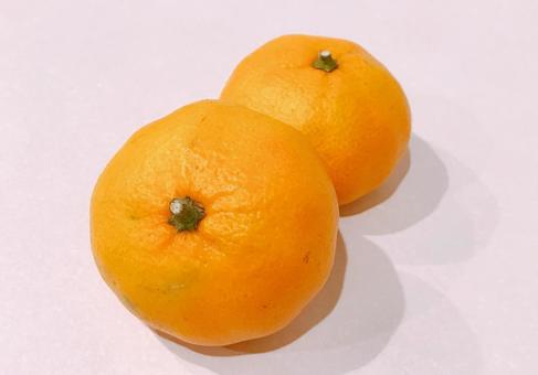 みかん みかん,蜜柑,ミカンの写真素材