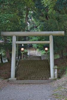 天の岩戸神社東本宮の鳥居と参道 天の岩戸神社東本宮の鳥居と参道 天の岩戸神社,東本宮,神社の写真素材