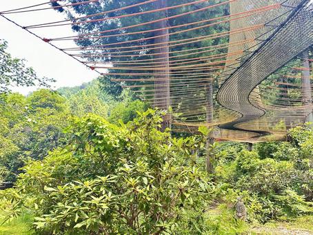 日本の秘境 十津川村 吊り橋 日本の秘境 十津川村 吊り橋 十津川村,自然,森林の写真素材