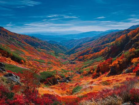 秋の絶景:紅葉の森 秋の絶景:紅葉の森の写真