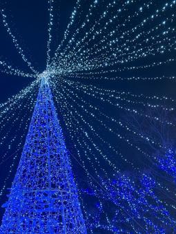 イルミネーション イルミネーション,クリスマス,ロマンティックの写真素材