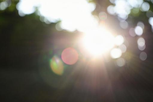 Summer sunlight filtering through the trees, shining sunlight, JPG
