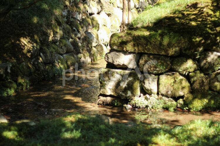 石と水と木漏れ日 石,苔,石垣の写真素材