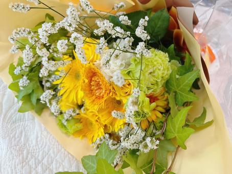 夏の花束 ひまわり,黄色,夏の写真素材