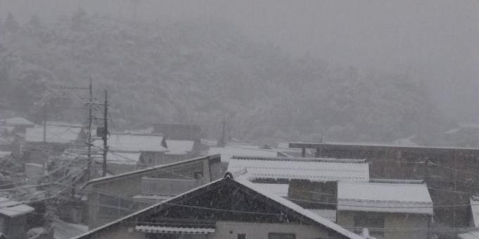 雪の日 雪の日の写真