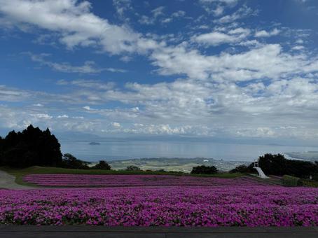 箱館山の景色 箱館山の景色 箱館山,花畑,空の写真素材