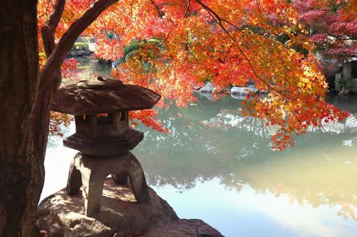 秋のイメージ 紅葉と池と灯籠 秋のイメージ 紅葉と池と灯籠 紅葉,モミジ,秋の写真素材