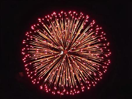 大きな花火 大きな花火の写真