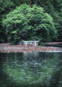 A mysterious torii gate floating on the water, JPG A mysterious torii gate floating on the water, JPG