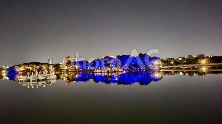大濠公園の夜景 福岡,大濠公園,夜景の写真素材