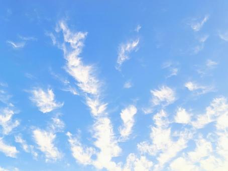 青空背景 羽毛みたいな雲 青空背景 羽毛みたいな雲の写真